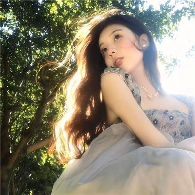 狐狸之声国语 封面